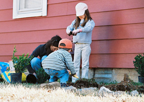 Eco-friendly Activities For Kids