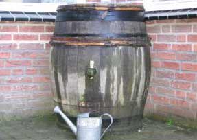 Rain Barrel Water Conservation