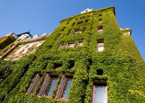 Eco-friendly Green Hotel