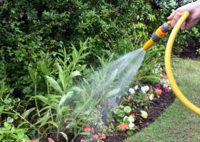 Garden Water Saving