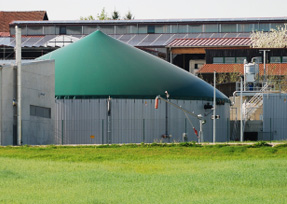 Cost Effective Biogas Production
