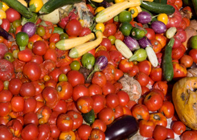 Organic Waste Recycling