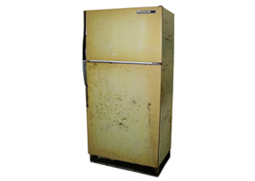 Fixing Old Fridge