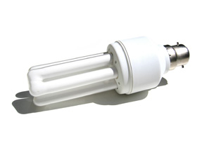 Compact Fluorescent Light Bulb